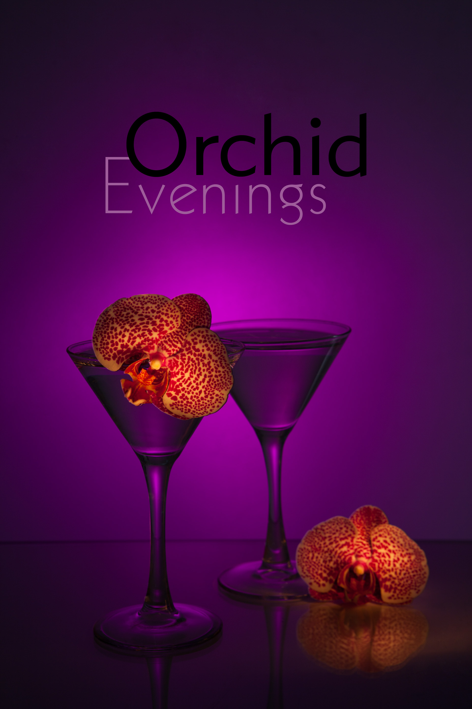 Orchid Evenings _MG_7964